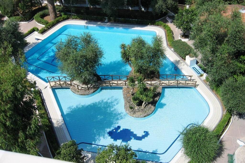 Virginia'S Guest House Sorrento Exteriör bild