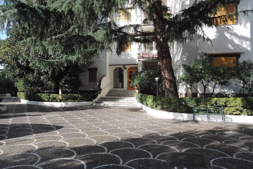 Virginia'S Guest House Sorrento Exteriör bild